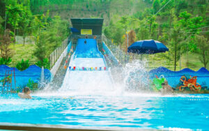 Nhà Tôi Hoà Bình