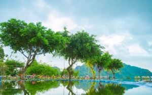 Nhà tôi Hoà Bình